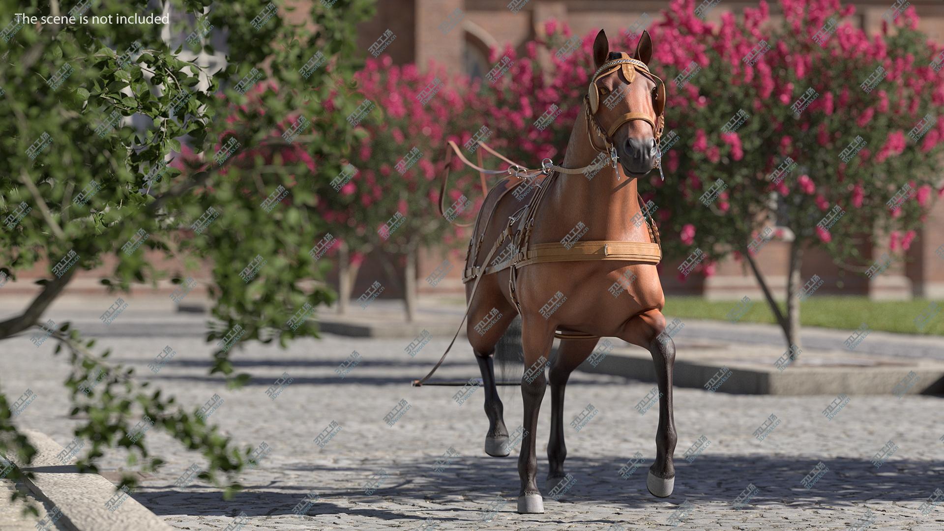 images/goods_img/20210313/Horse Drawn Leather Single Driving Harness Walking Pose Fur 3D model/5.jpg